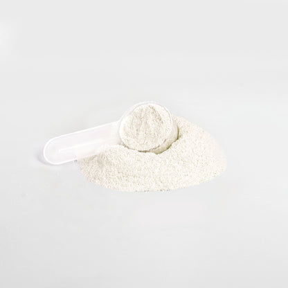 Energy Powder (Yuzu Flavor) - Supnes